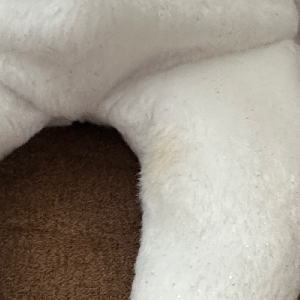 Ty Halo II White and Gold Angel Bear Plush - Picture 5 of 9